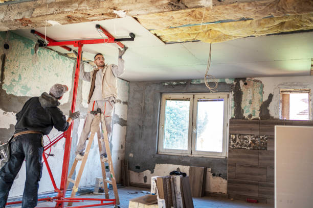 Best Cellulose Insulation in Whitesboro, TX
