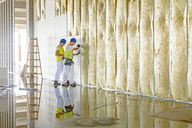 Types of Insulation We Offer in Whitesboro, TX